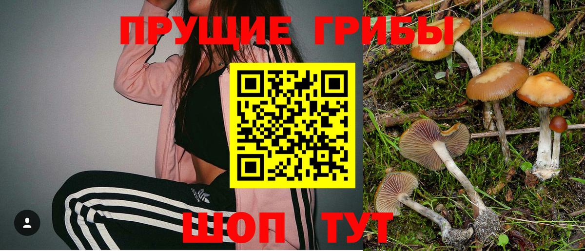 Галлюциногенные грибы MAGIC MUSHROOMS Москва