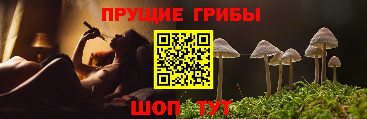 Псилоцибиновые грибы Cubensis  Вход с VPN  Москва  Псилоцибиновые грибы Psilocybe 
